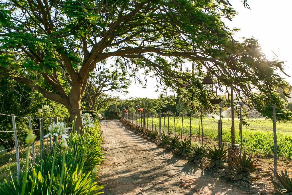 Die Fonteine Country Guesthouse And Glamping Oudtshoorn Dış mekan fotoğraf