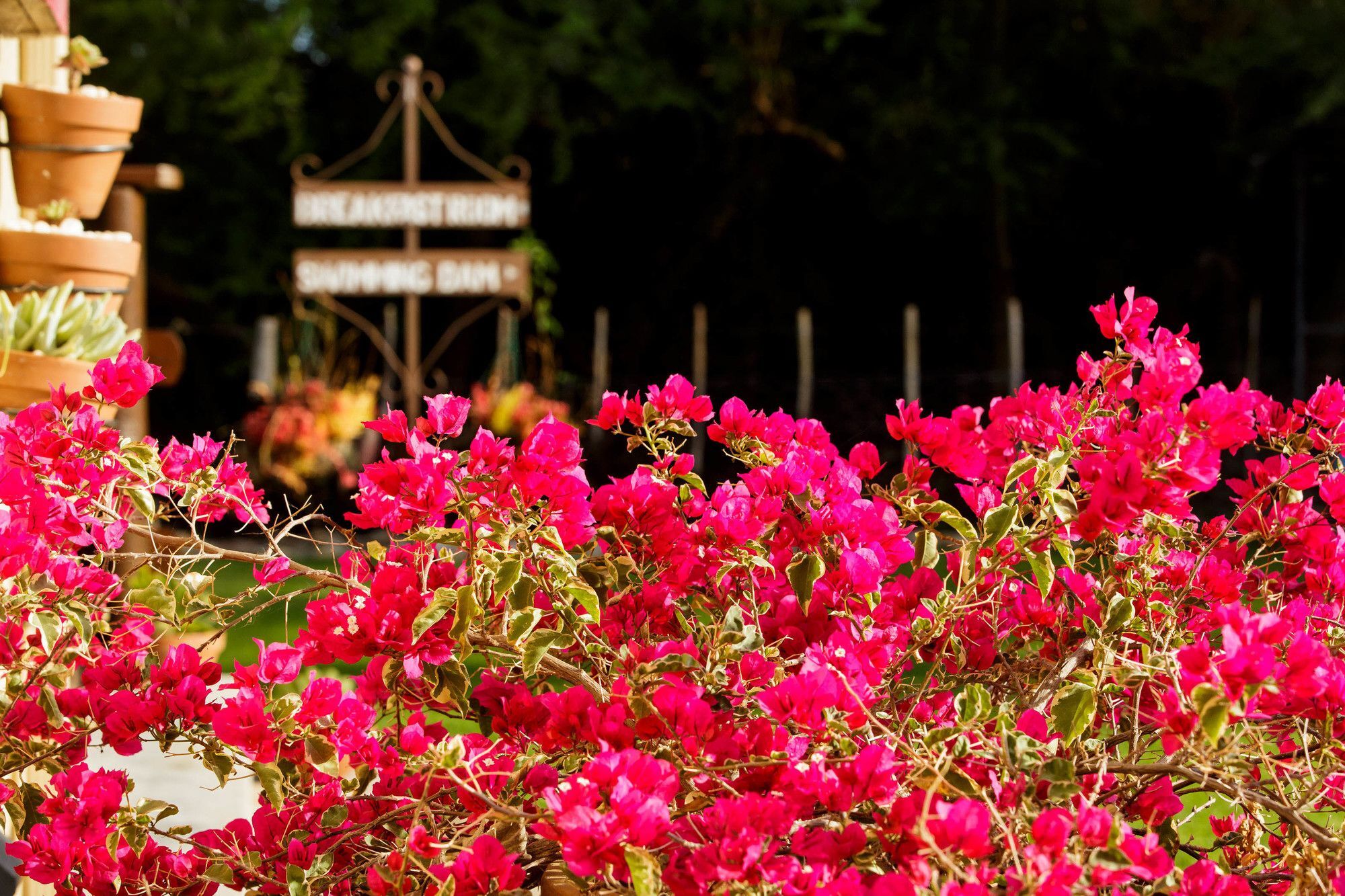 Die Fonteine Country Guesthouse And Glamping Oudtshoorn Dış mekan fotoğraf